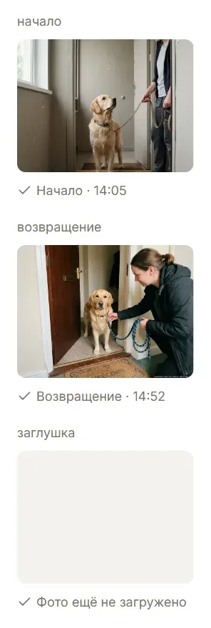 Фотодоказательство начала, окончания и состояния без загрузки