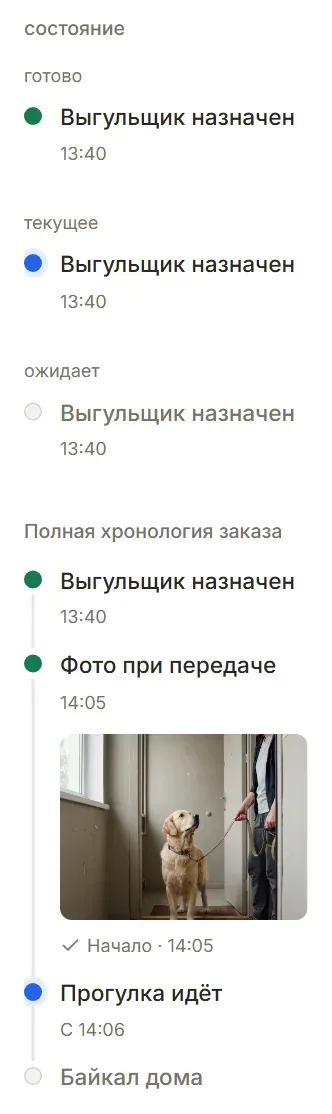 Строка таймлайна: готово, текущая, ожидает и с вложенным фото