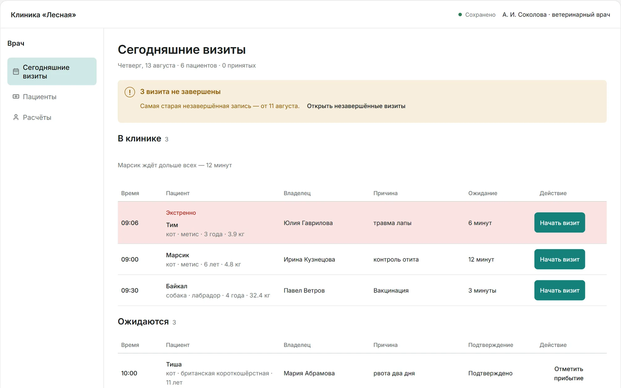 Операционная система ветклиники: очередь ветеринара на день с тремя незавершёнными визитами; позади — карта пациента и расписание
